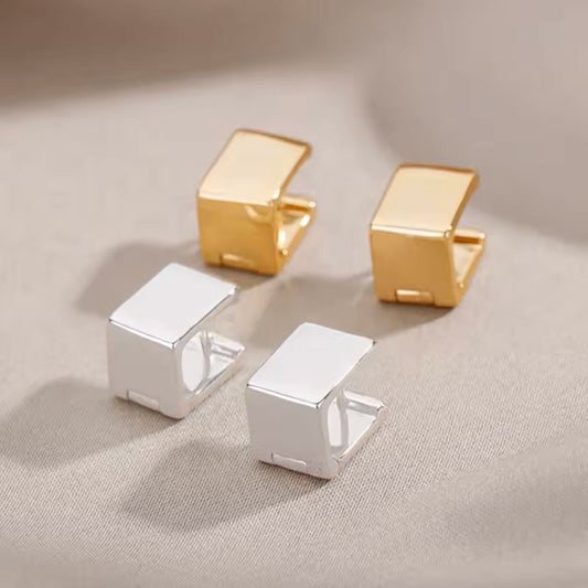 Aros Cubic Plata - Par