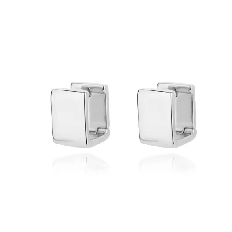 Aros Cubic Plata - Par