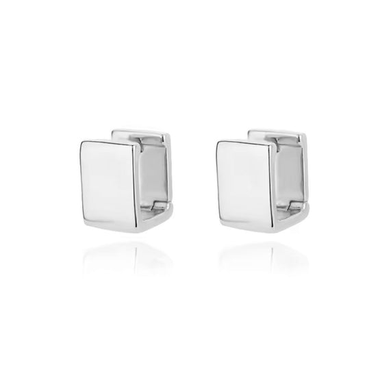 Aros Cubic Plata - Par